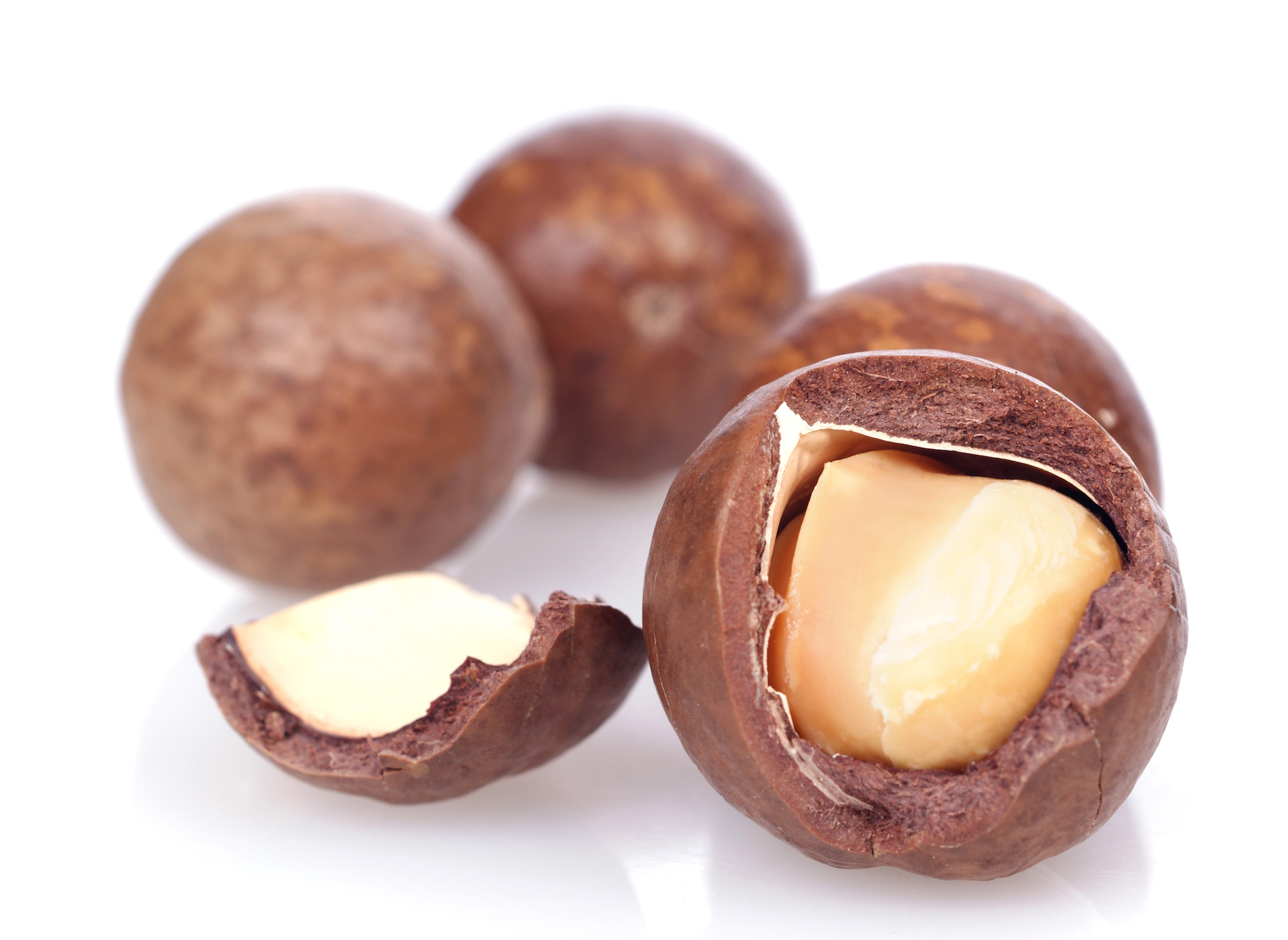 Macadamia butter