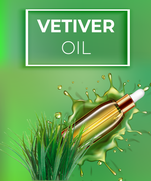 Vetiver Oil – Phytexence